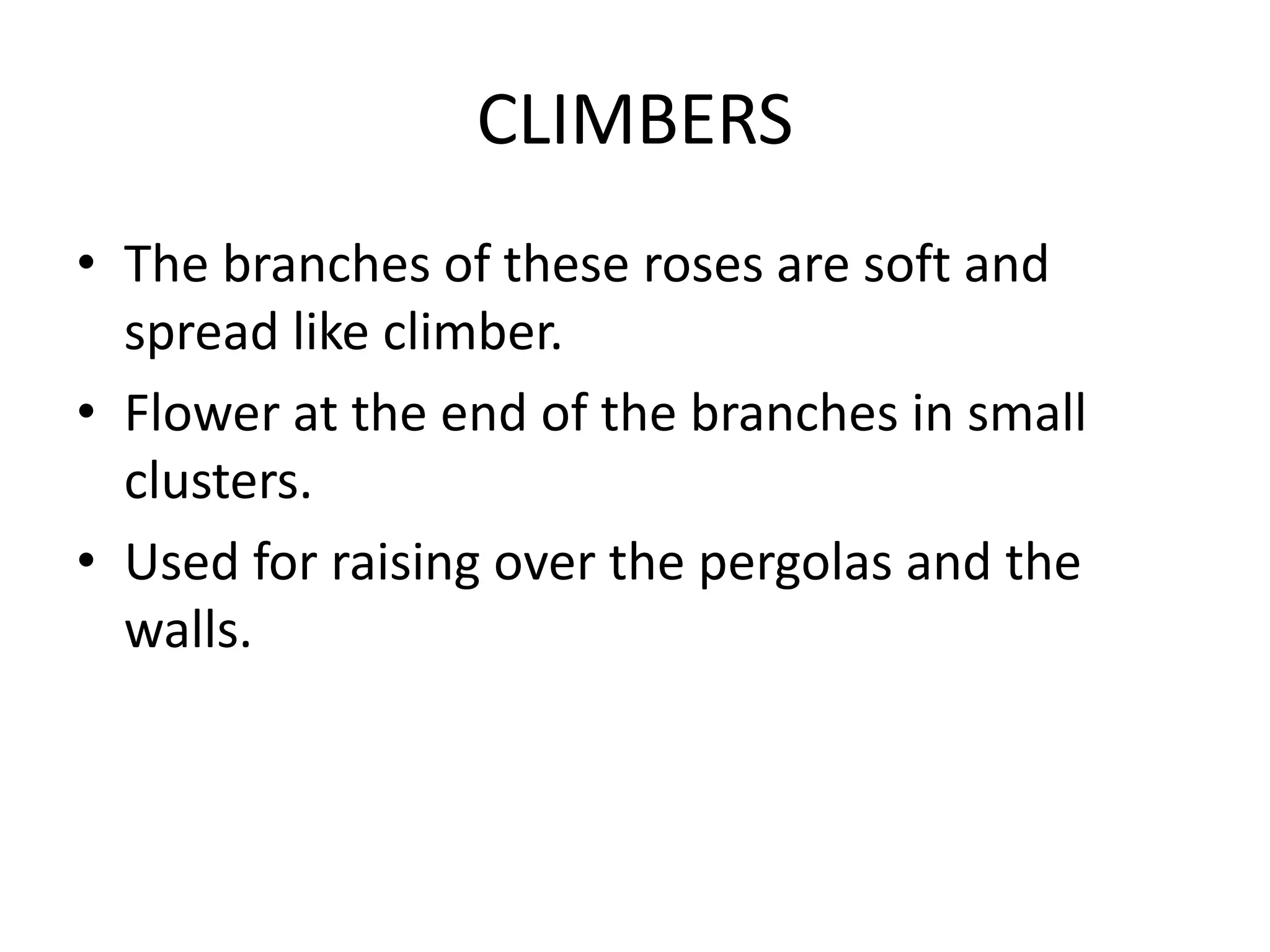 CLIMBERS
• The branches of these roses are soft and
spread like climber.
• Flower at the end of the branches in small
clusters.
• Used for raising over the pergolas and the
walls.
 
