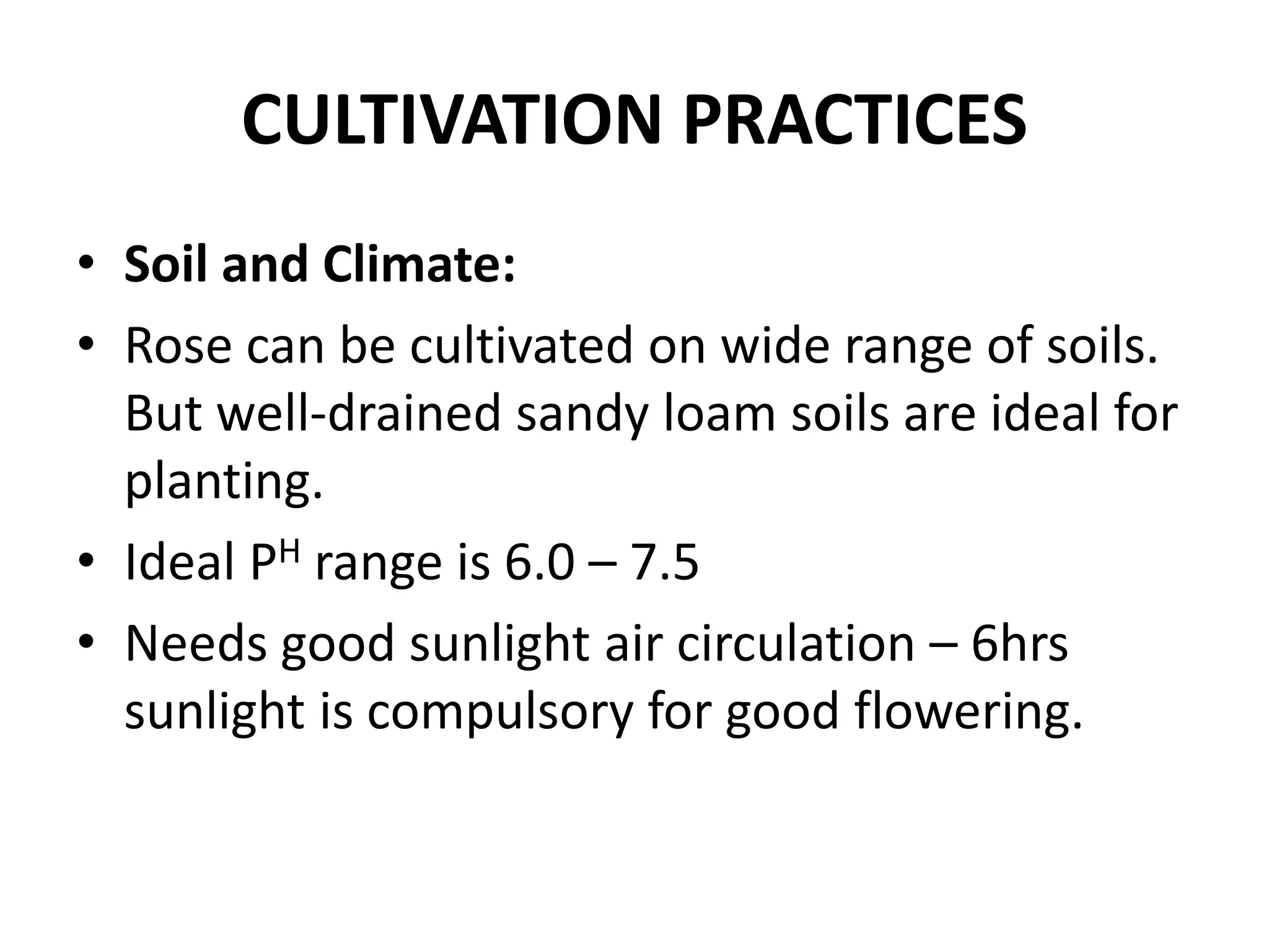 CULTIVATION PRACTICES
• Soil and Climate:
• Rose can be cultivated on wide range of soils.
But well-drained sandy loam soils are ideal for
planting.
• Ideal PH range is 6.0 – 7.5
• Needs good sunlight air circulation – 6hrs
sunlight is compulsory for good flowering.
 