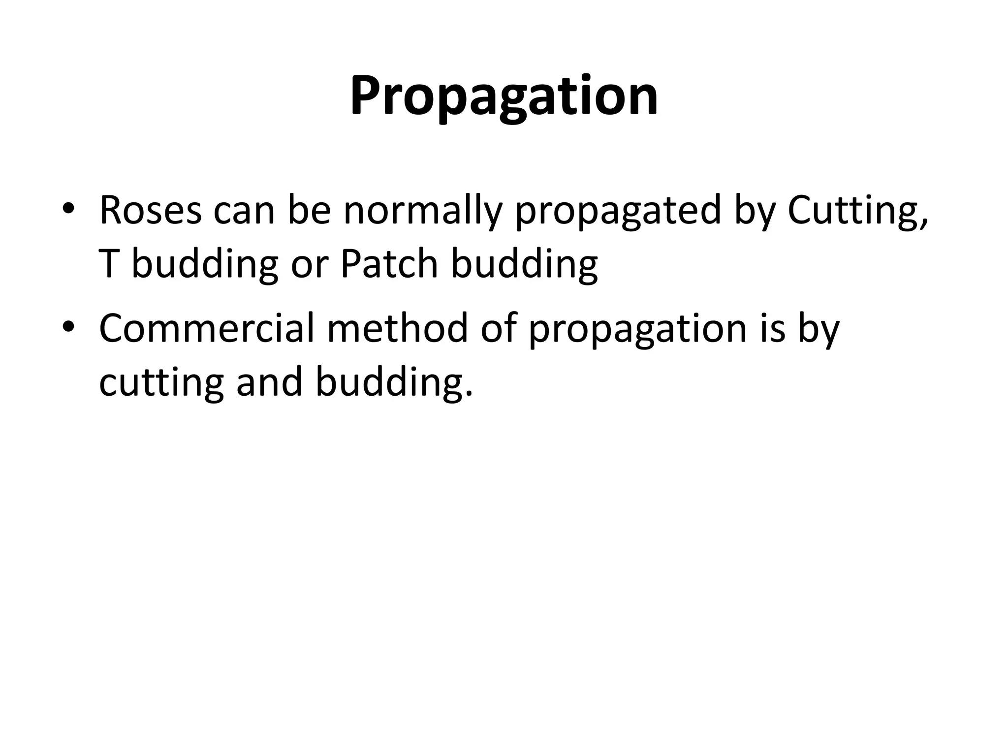 Propagation
• Roses can be normally propagated by Cutting,
T budding or Patch budding
• Commercial method of propagation is by
cutting and budding.
 