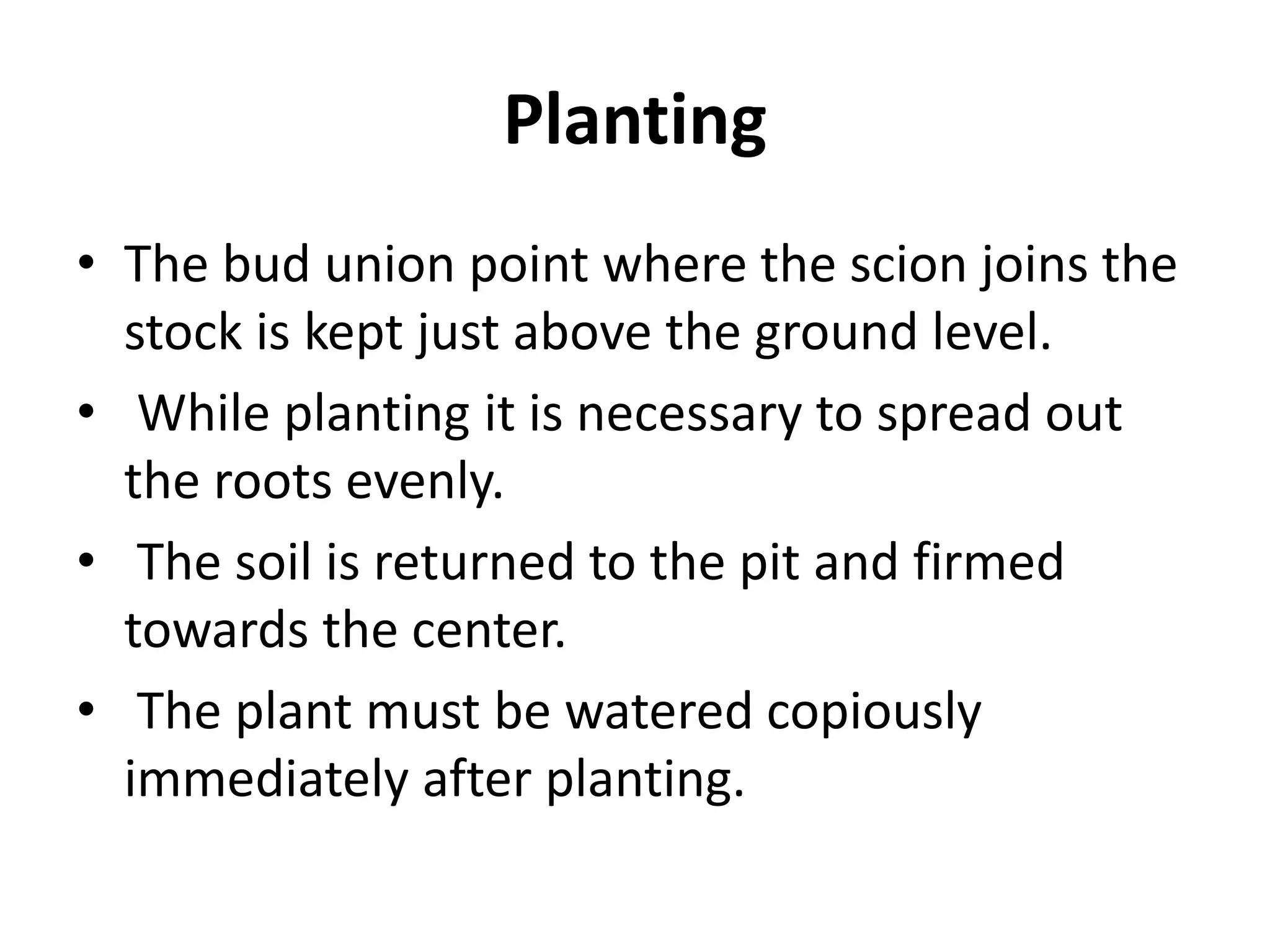 Planting
• The bud union point where the scion joins the
stock is kept just above the ground level.
• While planting it is necessary to spread out
the roots evenly.
• The soil is returned to the pit and firmed
towards the center.
• The plant must be watered copiously
immediately after planting.
 