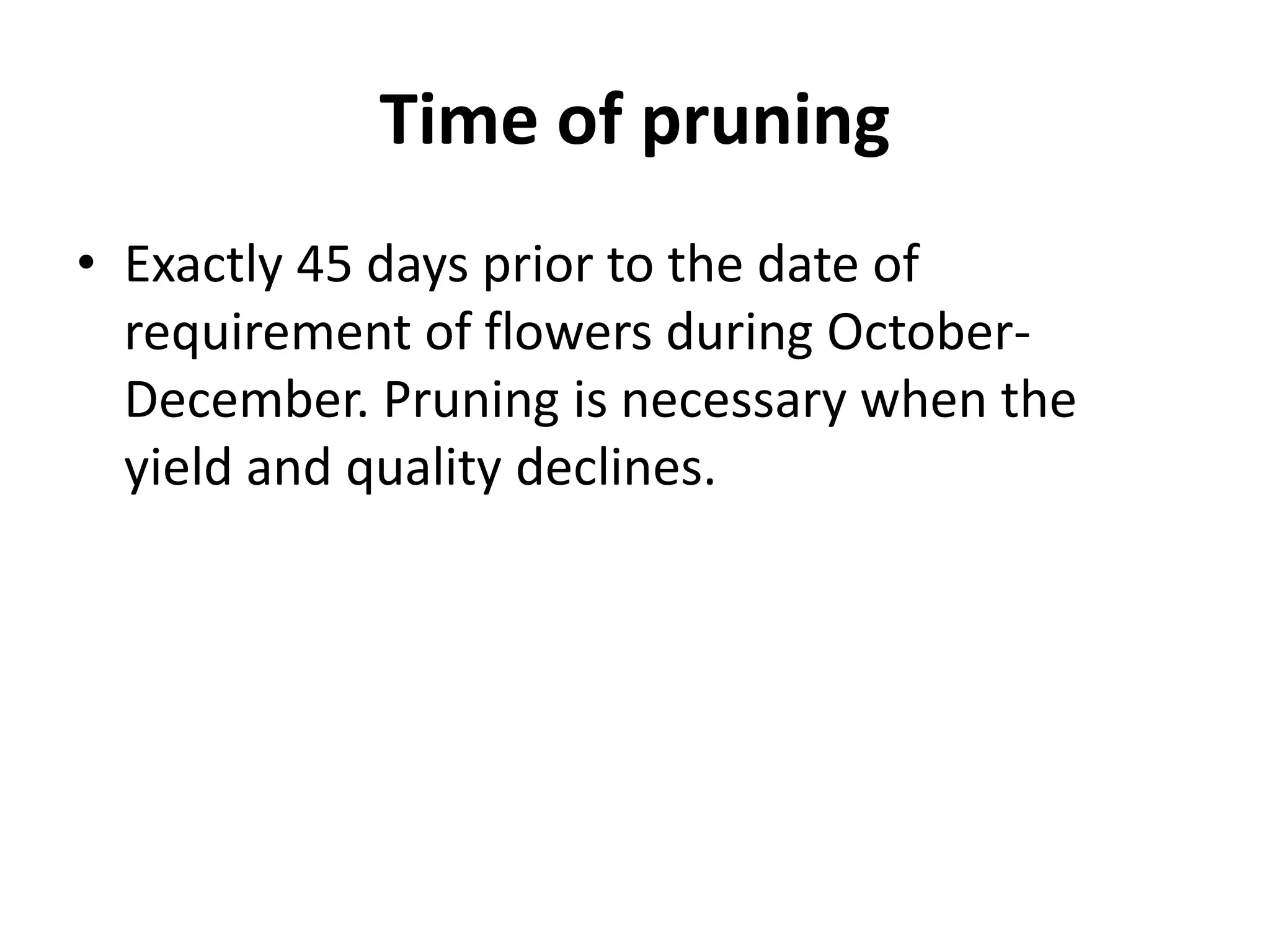 Time of pruning
• Exactly 45 days prior to the date of
requirement of flowers during October-
December. Pruning is necessary when the
yield and quality declines.
 