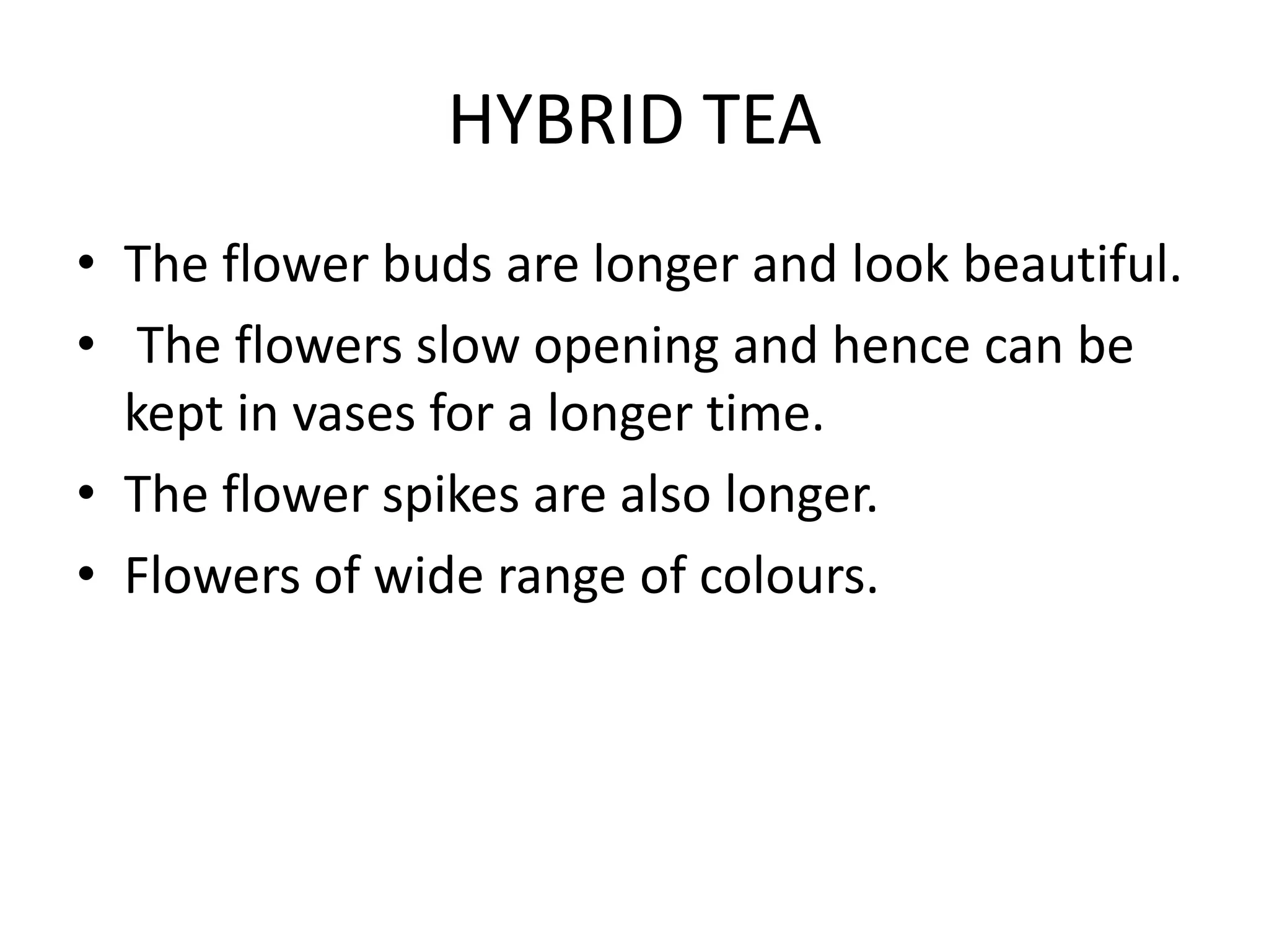 HYBRID TEA
• The flower buds are longer and look beautiful.
• The flowers slow opening and hence can be
kept in vases for a longer time.
• The flower spikes are also longer.
• Flowers of wide range of colours.
 