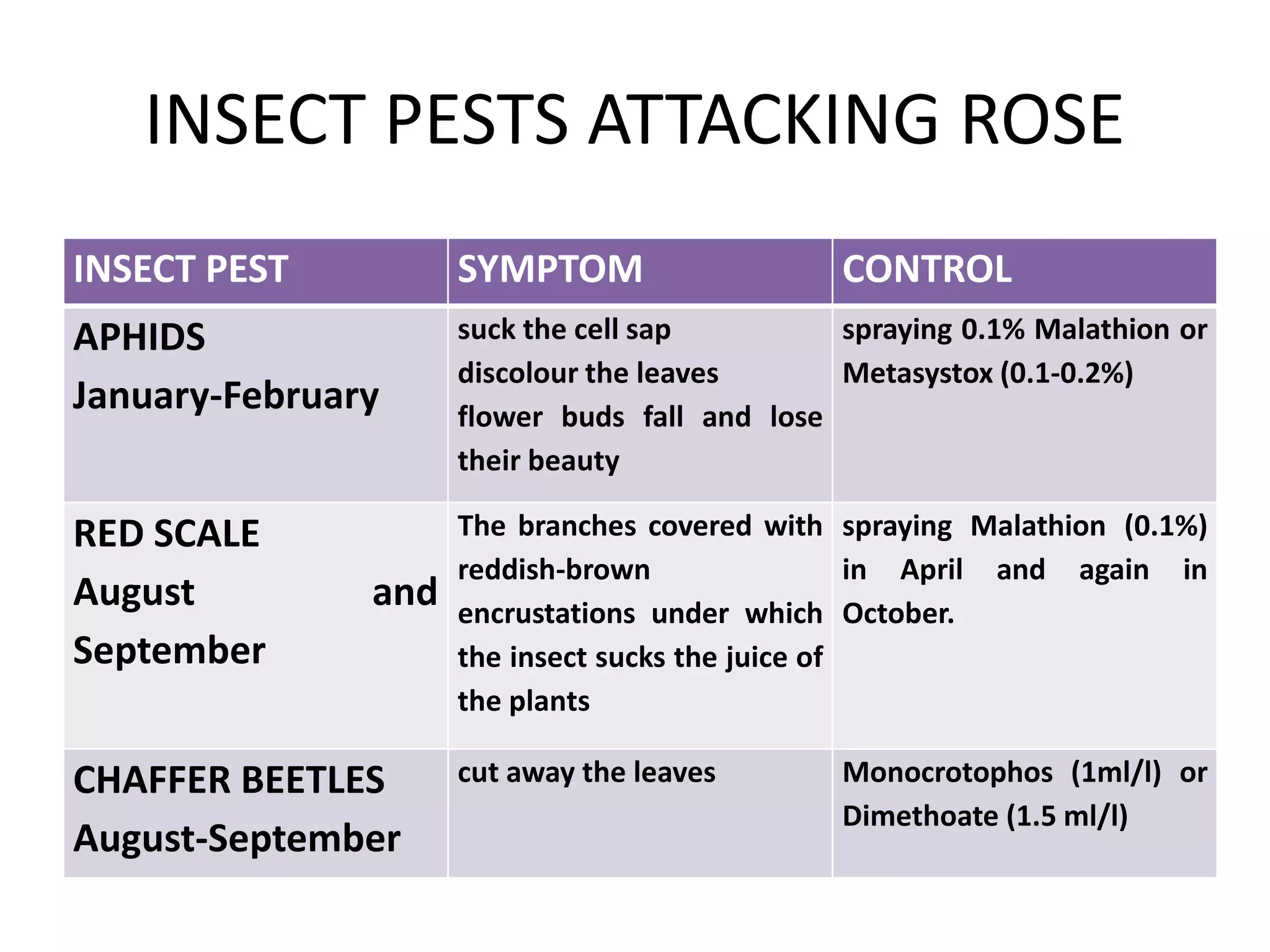 INSECT PESTS ATTACKING ROSE
INSECT PEST SYMPTOM CONTROL
APHIDS
January-February
suck the cell sap
discolour the leaves
flower buds fall and lose
their beauty
spraying 0.1% Malathion or
Metasystox (0.1-0.2%)
RED SCALE
August and
September
The branches covered with
reddish-brown
encrustations under which
the insect sucks the juice of
the plants
spraying Malathion (0.1%)
in April and again in
October.
CHAFFER BEETLES
August-September
cut away the leaves Monocrotophos (1ml/l) or
Dimethoate (1.5 ml/l)
 