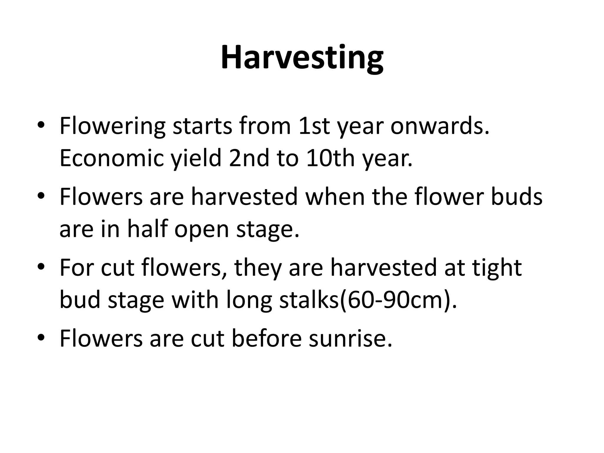 Harvesting
• Flowering starts from 1st year onwards.
Economic yield 2nd to 10th year.
• Flowers are harvested when the flower buds
are in half open stage.
• For cut flowers, they are harvested at tight
bud stage with long stalks(60-90cm).
• Flowers are cut before sunrise.
 