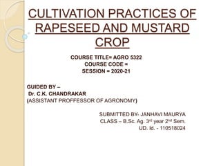 CULTIVATION PRACTICES OF
RAPESEED AND MUSTARD
CROP
COURSE TITLE= AGRO 5322
COURSE CODE =
SESSION = 2020-21
GUIDED BY –
Dr. C.K. CHANDRAKAR
(ASSISTANT PROFFESSOR OF AGRONOMY)
SUBMITTED BY- JANHAVI MAURYA
CLASS – B.Sc. Ag. 3rd year 2nd Sem.
UD. Id. - 110518024
 
