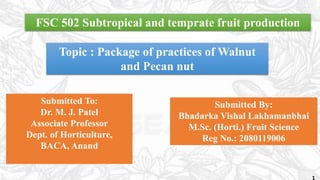 FSC 502 Subtropical and temprate fruit production
Topic : Package of practices of Walnut
and Pecan nut
Submitted To:
Dr. M. J. Patel
Associate Professor
Dept. of Horticulture,
BACA, Anand
Submitted By:
Bhadarka Vishal Lakhamanbhai
M.Sc. (Horti.) Fruit Science
Reg No.: 2080119006
1
 