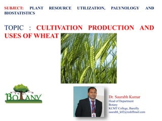 SUBJECT: PLANT RESOURCE UTILIZATION, PALYNOLOGY AND
BIOSTATISTICS
TOPIC : CULTIVATION PRODUCTION AND
USES OF WHEAT
Dr. Saurabh Kumar
Head of Department
Botany
KCMT College, Bareilly
saurabh_k02@rediffmail.com
 