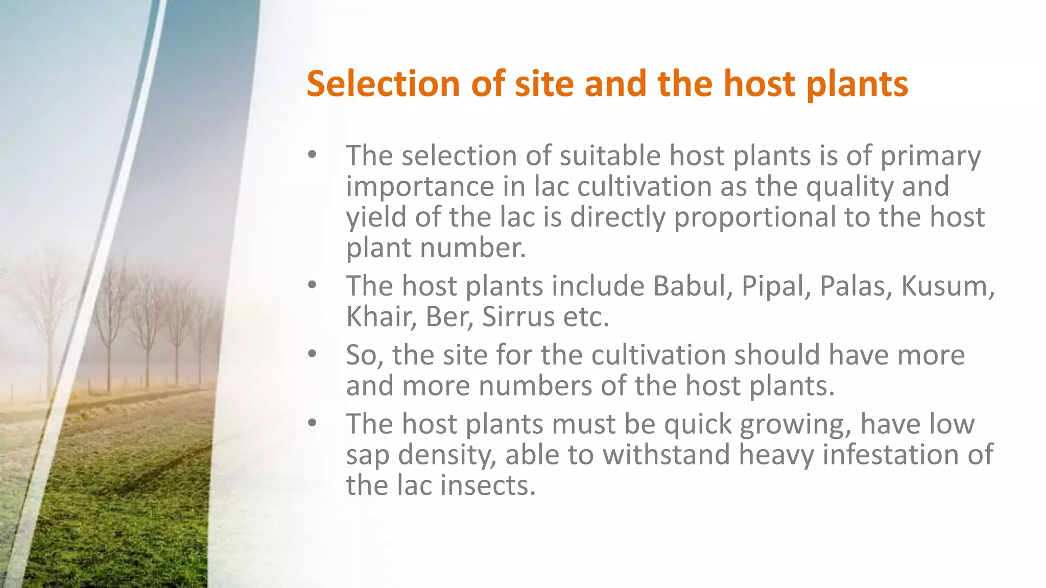 Cultivation technique of lac insect | PPTX