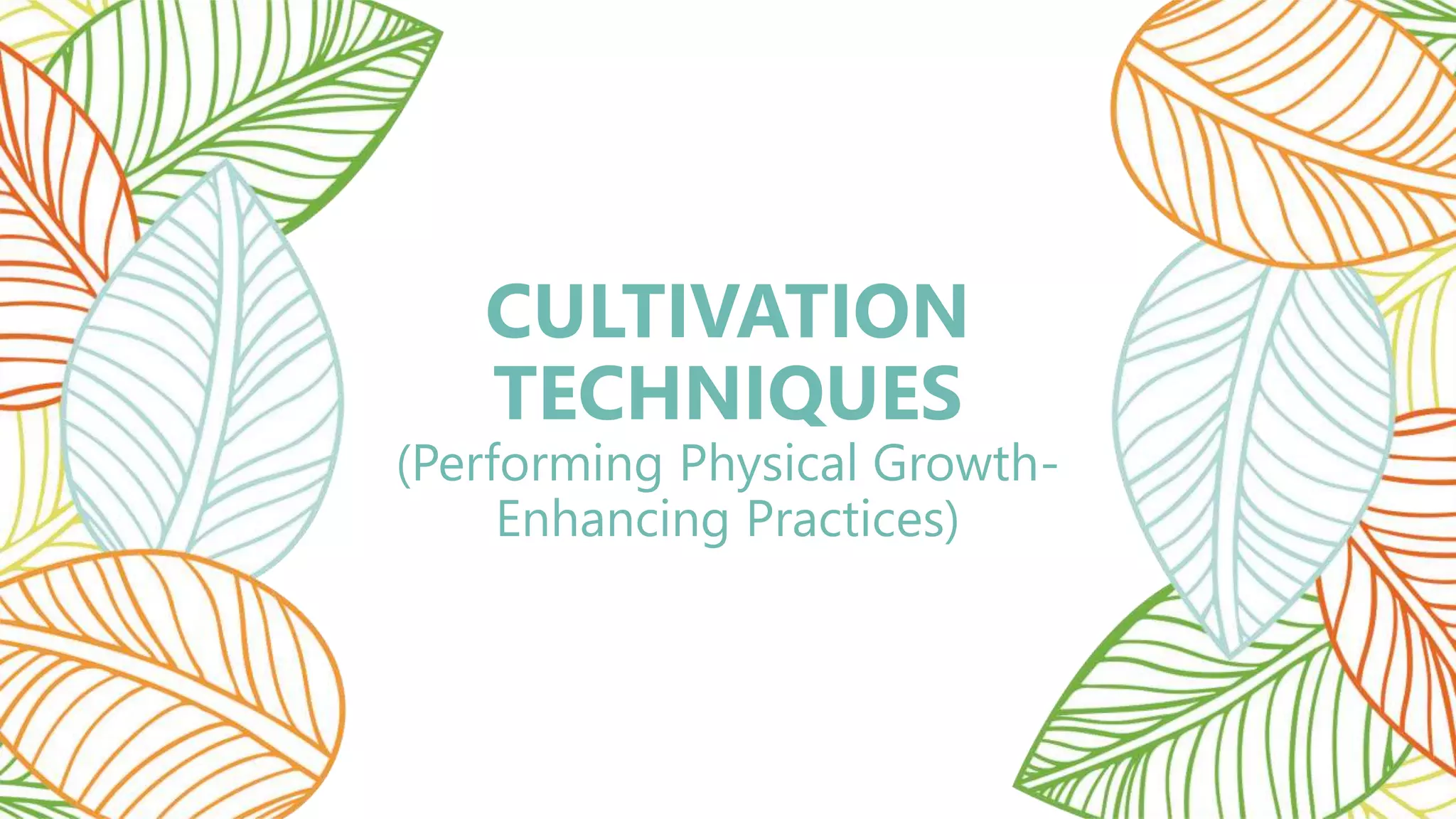 Cultivation Techniques.pptx