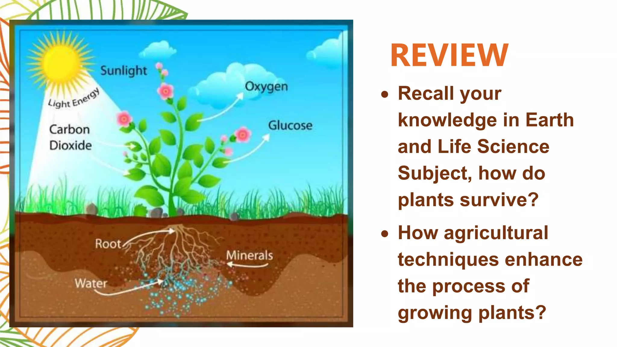 Cultivation Techniques.pptx