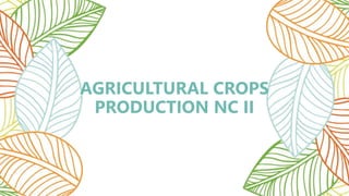 Cultivation Techniques.pptx