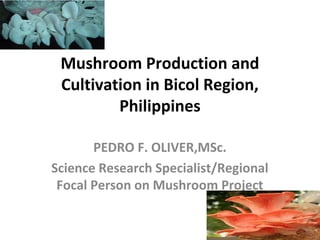 Mushroom Production and
Cultivation in Bicol Region,
Philippines
PEDRO F. OLIVER,MSc.
Science Research Specialist/Regional
Focal Person on Mushroom Project
 