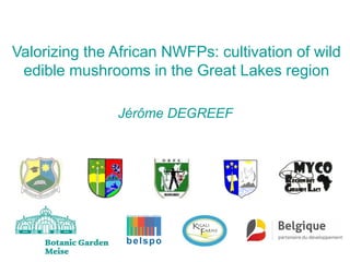 Valorizing the African NWFPs: cultivation of wild
edible mushrooms in the Great Lakes region
Jérôme DEGREEF
 