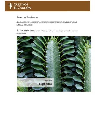 Curso: Cultivo de Cactus y Suculentas – Nivel Inicial Página 10
LILIÁCEAS:donde tenemos géneros como haworthias, aloes y g...