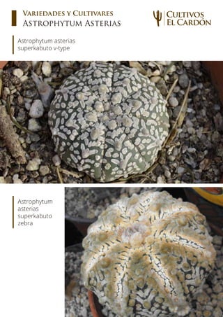 Cultivo de-cactus-y-suculentas-material- pdf-final