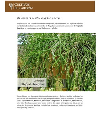 Curso: Cultivo de Cactus y Suculentas – Nivel Inicial Página 9
LILIÁCEAS: donde tenemos géneros como haworthias, aloes y g...