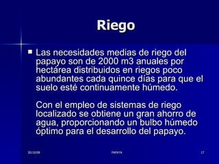 Riego Las necesidades medias de riego del papayo son de 2000 m3 anuales por hectárea distribuidos en riegos poco abundantes cada quince días para que el suelo esté continuamente húmedo. Con el empleo de sistemas de riego localizado se obtiene un gran ahorro de agua, proporcionando un bulbo húmedo óptimo para el desarrollo del papayo.  