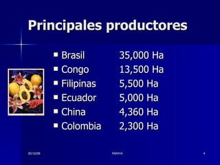 Principales productores Brasil  35,000 Ha Congo  13,500 Ha Filipinas  5,500 Ha Ecuador  5,000 Ha China  4,360 Ha Colombia  2,300 Ha 