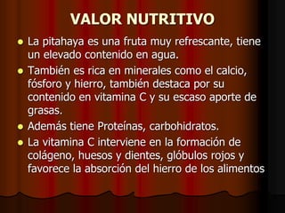 VALOR NUTRITIVO
 La pitahaya es una fruta muy refrescante, tiene
un elevado contenido en agua.
 También es rica en minerales como el calcio,
fósforo y hierro, también destaca por su
contenido en vitamina C y su escaso aporte de
grasas.
 Además tiene Proteínas, carbohidratos.
 La vitamina C interviene en la formación de
colágeno, huesos y dientes, glóbulos rojos y
favorece la absorción del hierro de los alimentos
 
