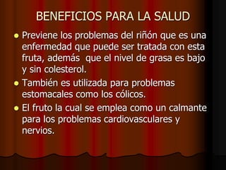 BENEFICIOS PARA LA SALUD
 Previene los problemas del riñón que es una
enfermedad que puede ser tratada con esta
fruta, además que el nivel de grasa es bajo
y sin colesterol.
 También es utilizada para problemas
estomacales como los cólicos.
 El fruto la cual se emplea como un calmante
para los problemas cardiovasculares y
nervios.
 