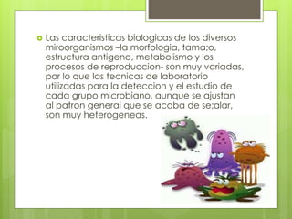 Las caracteristicas biologicas de los diversos
miroorganismos –la morfologia, tama;o,
estructura antigena, metabolismo y los
procesos de reproduccion- son muy variadas,
por lo que las tecnicas de laboratorio
utilizadas para la deteccion y el estudio de
cada grupo microbiano, aunque se ajustan
al patron general que se acaba de se;alar,
son muy heterogeneas.
 
