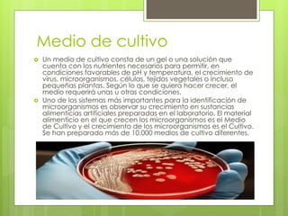Medio de cultivo
 Un medio de cultivo consta de un gel o una solución que
cuenta con los nutrientes necesarios para permitir, en
condiciones favorables de pH y temperatura, el crecimiento de
virus, microorganismos, células, tejidos vegetales o incluso
pequeñas plantas. Según lo que se quiera hacer crecer, el
medio requerirá unas u otras condiciones.
 Uno de los sistemas más importantes para la identificación de
microorganismos es observar su crecimiento en sustancias
alimenticias artificiales preparadas en el laboratorio. El material
alimenticio en el que crecen los microorganismos es el Medio
de Cultivo y el crecimiento de los microorganismos es el Cultivo.
Se han preparado más de 10.000 medios de cultivo diferentes.
 