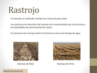 Sistema De Producci n Agr cola PPTX Sistema De Producci n Agr cola PPTX