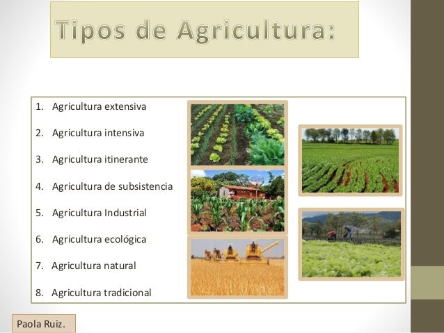 Sistema de Producción Agrícola