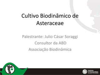 Cultivo Biodinâmico de
Asteraceae
Palestrante: Julio Cásar Soraggi
Consultor da ABD
Associação Biodinâmica

 
