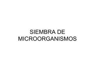 SIEMBRA DE
MICROORGANISMOS
 