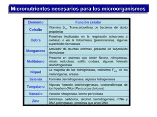 Micronutrientes necesarios para los microorganismosMicronutrientes necesarios para los microorganismos
Anhidrasa carbónica, alcohol deshidrogenasa, RNA y
DNA polimerasas, proteínas que unen DNA
Zinc
Vanadio nitrogenasa, bromo peroxidasaVanadio
Algunas formiato deshidrogenasas, oxotransferasas de
los hipertermófilos (Pyrococcus furiosus)
Tungsteno
Formiato deshidrogenasa, algunas hidrogenasasSelenio
La mayoría de las hidrogenasas, coenzima F430
de los
metanógenos, ureasa
Níquel
Presente en enzimas que tienen flavina, nitrogenasa,
nitrato reductasa, sulfito oxidasa, algunas formiato
deshidrogenasas
Molibdeno
Activador de muchas enzimas, presente en superóxido
dismutasas
Manganeso
Proteínas implicadas en la respiración (citocromo c
oxidasa) o en la fotosíntesis (plastocianina), algunas
superóxido dismutasas
Cobre
Vitamina B12
, Transcarboxilasa de bacterias del ácido
propiónico
Cobalto
Función celularElemento
 