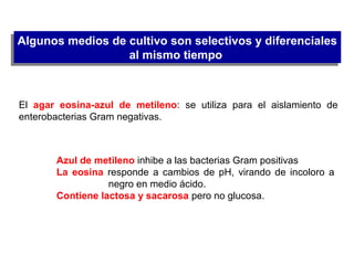 Algunos medios de cultivo son selectivos y diferenciales
al mismo tiempo
Algunos medios de cultivo son selectivos y diferenciales
al mismo tiempo
El agar eosina-azul de metileno: se utiliza para el aislamiento de
enterobacterias Gram negativas.
Azul de metileno inhibe a las bacterias Gram positivas.
La eosina responde a cambios de pH, virando de incoloro a
negro en medio ácido.
Contiene lactosa y sacarosa pero no glucosa.
 