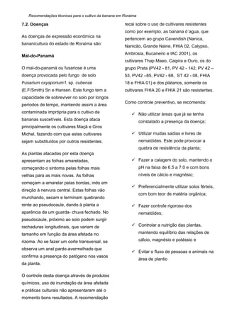 Recomendações técnicas para o cultivo da banana em Roraima
7.2. Doenças
As doenças de expressão econômica na
bananicultura do estado de Roraima são:
Mal-do-Panamá
O mal-do-panamá ou fusariose é uma
doença provocada pelo fungo de solo
Fusarium oxysporium f. sp. cubense
(E.F/Smith) Sn e Hansen. Este fungo tem a
capacidade de sobreviver no solo por longos
períodos de tempo, mantendo assim a área
contaminada imprópria para o cultivo de
bananas suscetíveis. Esta doença ataca
principalmente os cultivares Maçã e Gros
Michel, fazendo com que estes cultivares
sejam substituídos por outros resistentes.
As plantas atacadas por esta doença
apresentam as folhas amareladas,
começando o sintoma pelas folhas mais
velhas para as mais novas. As folhas
começam a amarelar pelas bordas, indo em
direção à nervura central. Estas folhas vão
murchando, secam e terminam quebrando
rente ao pseudocaule, dando à planta a
aparência de um guarda- chuva fechado. No
pseudocaule, próximo ao solo podem surgir
rachaduras longitudinais, que variam de
tamanho em função da área afetada no
rizoma. Ao se fazer um corte transversal, se
observa um anel pardo-avermelhado que
confirma a presença do patógeno nos vasos
da planta.
O controle desta doença através de produtos
químicos, uso de inundação da área afetada
e práticas culturais não apresentaram até o
momento bons resultados. A recomendação
recai sobre o uso de cultivares resistentes
como por exemplo, as banana d´agua, que
pertencem ao grupo Cavendish (Nanica,
Nanicão, Grande Naine, FHIA 02, Calypso,
Ambrosia, Bucaneiro e IAC 2001), os
cultivares Thap Maeo, Caipira e Ouro, os do
grupo Prata (PV42 - 81, PV 42 - 142, PV 42 –
53, PV42 –85, PV42 - 68, ST 42 - 08, FHIA
18 e FHIA 01) e dos plátanos, somente os
cultivares FHIA 20 e FHIA 21 são resistentes.
Como controle preventivo, se recomenda:
 Não utilizar áreas que já se tenha
constatado a presença da doença;
 Utilizar mudas sadias e livres de
nematóides. Este pode provocar a
quebra de resistência da planta;
 Fazer a calagem do solo, mantendo o
pH na faixa de 6.5 a 7.0 e com bons
níveis de cálcio e magnésio;
 Preferencialmente utilizar solos férteis,
com bom teor de matéria orgânica;
 Fazer controle rigoroso dos
nematóides;
 Controlar a nutrição das plantas,
mantendo equilíbrio das relações de
cálcio, magnésio e potássio e
 Evitar o fluxo de pessoas e animais na
área de plantio
 