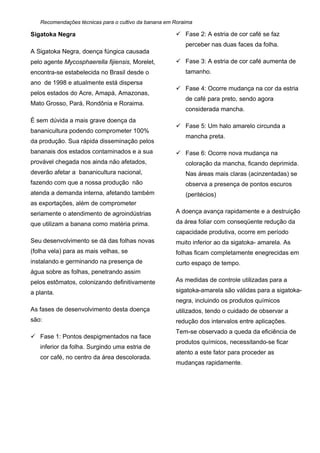 Recomendações técnicas para o cultivo da banana em Roraima
Sigatoka Negra
A Sigatoka Negra, doença fúngica causada
pelo agente Mycosphaerella fijiensis, Morelet,
encontra-se estabelecida no Brasil desde o
ano de 1998 e atualmente está dispersa
pelos estados do Acre, Amapá, Amazonas,
Mato Grosso, Pará, Rondônia e Roraima.
É sem dúvida a mais grave doença da
bananicultura podendo comprometer 100%
da produção. Sua rápida disseminação pelos
bananais dos estados contaminados e a sua
provável chegada nos ainda não afetados,
deverão afetar a bananicultura nacional,
fazendo com que a nossa produção não
atenda a demanda interna, afetando também
as exportações, além de comprometer
seriamente o atendimento de agroindústrias
que utilizam a banana como matéria prima.
Seu desenvolvimento se dá das folhas novas
(folha vela) para as mais velhas, se
instalando e germinando na presença de
água sobre as folhas, penetrando assim
pelos estômatos, colonizando definitivamente
a planta.
As fases de desenvolvimento desta doença
são:
 Fase 1: Pontos despigmentados na face
inferior da folha. Surgindo uma estria de
cor café, no centro da área descolorada.
 Fase 2: A estria de cor café se faz
perceber nas duas faces da folha.
 Fase 3: A estria de cor café aumenta de
tamanho.
 Fase 4: Ocorre mudança na cor da estria
de café para preto, sendo agora
considerada mancha.
 Fase 5: Um halo amarelo circunda a
mancha preta.
 Fase 6: Ocorre nova mudança na
coloração da mancha, ficando deprimida.
Nas áreas mais claras (acinzentadas) se
observa a presença de pontos escuros
(peritécios)
A doença avança rapidamente e a destruição
da área foliar com conseqüente redução da
capacidade produtiva, ocorre em período
muito inferior ao da sigatoka- amarela. As
folhas ficam completamente enegrecidas em
curto espaço de tempo.
As medidas de controle utilizadas para a
sigatoka-amarela são válidas para a sigatoka-
negra, incluindo os produtos químicos
utilizados, tendo o cuidado de observar a
redução dos intervalos entre aplicações.
Tem-se observado a queda da eficiência de
produtos químicos, necessitando-se ficar
atento a este fator para proceder as
mudanças rapidamente.
 