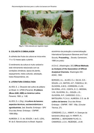 Recomendações técnicas para o cultivo da banana em Roraima
8. COLHEITA E EMBALAGEM
A colheita dos frutos da cultura se inicia entre
11 e 12 meses após o plantio.
O rendimento da cultura é muito variável e
está intimamente relacionado com as
condições climáticas, época de plantio,
espaçamento, tratos culturais, adubação,
tratos fitossanitários, etc.
9. LITERATURA CONSULTADA
ALVES, E. J. Situación del cultivo de plátano
en Brasil. In: UPEB (Panamá). El plátano
(Musa AAB, ABB) en América Latina.
Panamá, 1992. p. 1-96.
ALVES, E.J. (Org.). A cultura da banana:
aspectos técnicos, socioeconômicos e
agroidustriais. 2ed. Brasília: Embrapa – SPI/
Cruz das Almas: Embrapa – CNPMF,
1999.585p.
ALMEIDA, C. O. de; SOUZA, I. da S.; LEAL,
M. da S. Bananicultura no Brasil: Aspecto
econômico da produção a comercialização.
International Symposium Bananas and Food
Sccurty, Proceeding… Dovala, Cameroom,
1998 (no prelo)
A.O.A.C. (Washington, DC) Official Methods
as Analysis of the Association of Official
Analytical Chemists. Washington DC:
AOAC, 1992.
BORGES, A.L.; ALVES, E.J.; SILVA, O.E.;
SOUZA, L.S.; MATOS, A.P.; FANCELLI, M.;
OLIVEIRA, A.M.G.; CORDEIRA, Z.J.M.;
SILVEIRA, J.R.S.; COSTA, D. C.; MEDINA,
V.M.; OLIVEIRA, S.L.; SOUZA, J.S.;
OLIVEIRA, R.P.; CARDOSO, C.E.L.;
MATSUURA, F.C.A.U.; ALMEIDA, C.O. de. O
cultivo da banana. Cruz das Almas:
Embrapa – CNPMF, 1997. 109p. (Circular
Técnica, 27).
CORDEIRO, Z.J.L.; KIMATI, H. Doenças da
bananeira (Musa spp). In: KIMATI, H.;
AMORIM, L.; BERGAMIM FILHO, A.;
CAMARGO, L.E.A.; REZENDE, J.A.M.
Fig. 5. Folha atacada por sigatoka negra
 