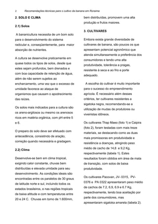 Recomendações técnicas para o cultivo da banana em Roraima
2. SOLO E CLIMA
2.1) Solos
A bananicultura necessita de um bom solo
para o desenvolvimento do sistema
radicular e, conseqüentemente, para maior
absorção de nutrientes.
A cultura se desenvolve praticamente em
quase todos os tipos de solos, desde que
estes sejam profundos, bem drenados e
com boa capacidade de retenção de água,
além de não serem sujeitos ao
encharcamento, uma vez que o excesso de
umidade favorece ao ataque de
organismos que causam o apodrecimento
das raízes.
Os solos mais indicados para a cultura são
os areno-argilosos ou mesmo os arenosos
ricos em matéria orgânica, com pH entre 5
e 6.
O preparo do solo deve ser efetuado com
antecedência, consistindo de aração,
correção quando necessária e gradagem.
2.2) Clima
Desenvolve-se bem em clima tropical,
exigindo calor constante, chuvas bem
distribuídas e elevada umidade para seu
desenvolvimento. As condições ideais são
encontradas entre os paralelos de 30 graus
de latitude norte e sul, incluindo todos os
estados brasileiros, e nas regiões tropicais
de baixa altitude e com temperaturas entre
20 e 24 C. Chuvas em torno de 1.600mm,
bem distribuídas, promovem uma alta
produção e frutos maiores.
3. CULTIVARES
Embora exista grande diversidade de
cultivares de banana, são poucos os que
apresentam potencial agronômico que
atenda simultaneamente a preferência dos
consumidores e tendo uma alta
produtividade, tolerância a pragas,
resistente à seca e ao frio e porte
adequado.
A escolha do cultivar é muito importante
para o sucesso do empreendimento
agrícola. É necessário além desses
critérios, ter cultivares resistentes a
sigatoka negra, recomendando-se a
utilização de mudas de produtores ou
viveiristas idôneos.
Os cultivares Thap Maeo (foto 1) e Caipira
(foto 2), foram testadas com mais treze
materiais, se destacando como as duas
mais promissoras em produtividade e
resistência a doenças, atingindo peso
médio de cacho de 14,8 e 9,2 Kg,
respectivamente (tabela 1). Estes
resultados foram obtidos em área de mata
de transição, com solos de baixa
produtividade.
Os cultivares Pacovan, JV- 0315, PV-
0376 e PA 0322 apresentaram peso médio
de cachos de 7.2, 6,9, 6.9 e 6.7 Kg,
respectivamente, tendo boa aceitação por
parte dos consumidores, mas
apresentaram sigatoka amarela (tabela 2).
2
 