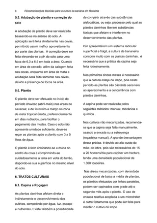 Recomendações técnicas para o cultivo da banana em Roraima
5.5. Adubação de plantio e correção do
solo
A adubação de plantio deve ser realizada
baseando-se na análise do solo. A
aplicação será feita diretamente nas covas,
permitindo assim melhor aproveitamento
por parte das plantas. A correção deve ser
feita elevando-se o pH do solo para uma
faixa de 6,0 a 6,5 em toda a área. Quando
em área de cerrado, além da calagem feita
nas covas, enquanto em área de mata a
adubação será feita somente nas covas,
devido a presença de tocos na área.
5.6. Plantio
O plantio deve ser efetuado no início do
período chuvoso (abril-maio) nas áreas de
savanas; e de fevereiro a março na zona
de mata tropical úmida, preferencialmente
em dias nublados, para facilitar o
pegamento das mudas. Caso o solo não
apresente umidade suficiente, deve-se
regar as plantas após o plantio com 3 a 5
litros de água.
O plantio é feito colocando-se a muda no
centro da cova e comprimindo-se
cuidadosamente a terra em volta do torrão,
dispondo-se sua superfície no mesmo nível
do solo.
6. TRATOS CULTURAIS
6.1. Capina e Roçagem
As plantas daninhas afetam direta e
indiretamente o desenvolvimento dos
cultivos, competindo por água, luz, espaço
e nutrientes. Existe também a possibilidade
de competir através das substâncias
alelopáticas, ou seja, processo pelo qual as
plantas daninhas liberam substâncias
tóxicas que afetam e interferem no
desenvolvimento das plantas.
Por apresentarem um sistema radicular
superficial e frágil, a cultura da bananeira
concorre muito com as plantas daninhas, é
necessário que a prática da capina seja
feita rotineiramente.
Nos primeiros cincos meses é necessário
que a cultura esteja no limpo, pois neste
período as plantas são bastante sensíveis
ao aparecimento e a concorrência com
plantas daninhas.
A capina pode ser realizada pelos
seguintes métodos: manual, mecânica e
química .
Nos cultivos não mecanizados, recomenda-
se que a capina seja feita manualmente,
usando a enxada ou a estrovenga
(roçadeira manual). A grande desvantagem
dessa prática, é devido ao alto custo da
mão–de-obra, pois são necessários de 15
a 20 homens/dia para capinar um hectare,
tendo uma densidade populacional de
1.300 touceiras.
Nas áreas mecanizadas, com densidade
populacional de baixa a média de plantas,
os plantios efetuados por linhas paralelas,
podem ser capinados com grade até o
segundo mês após o plantio. O uso de
enxada rotativa acoplada a um microtrator
é outra ferramenta que pode ser feita para
manter o cultivo no limpo.
6
 