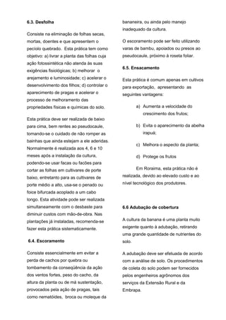6.3. Desfolha
Consiste na eliminação de folhas secas,
mortas, doentes e que apresentem o
pecíolo quebrado. Esta prática tem como
objetivo: a) livrar a planta das folhas cuja
ação fotossintética não atenda às suas
exigências fisiológicas; b) melhorar o
arejamento e luminosidade; c) acelerar o
desenvolvimento dos filhos; d) controlar o
aparecimento de pragas e acelerar o
processo de melhoramento das
propriedades físicas e químicas do solo.
Esta prática deve ser realizada de baixo
para cima, bem rentes ao pseudocaule,
tomando-se o cuidado de não romper as
bainhas que ainda estejam a ele aderidas.
Normalmente é realizada aos 4, 6 e 10
meses após a instalação da cultura,
podendo-se usar facas ou facões para
cortar as folhas em cultivares de porte
baixo, entretanto para as cultivares de
porte médio a alto, usa-se o penado ou
foice bifurcada acoplado a um cabo
longo. Esta atividade pode ser realizada
simultaneamente com o desbaste para
diminuir custos com mão-de-obra. Nas
plantações já instaladas, recomenda-se
fazer esta prática sistematicamente.
6.4. Escoramento
Consiste essencialmente em evitar a
perda de cachos por quebra ou
tombamento da conseqüência da ação
dos ventos fortes, peso do cacho, da
altura da planta ou de má sustentação,
provocados pela ação de pragas, tais
como nematóides, broca ou moleque da
bananeira, ou ainda pelo manejo
inadequado da cultura.
O escoramento pode ser feito utilizando
varas de bambu, apoiados ou presos ao
pseudocaule, próximo à roseta foliar.
6.5. Ensacamento
Esta prática é comum apenas em cultivos
para exportação, apresentando as
seguintes vantagens:
a) Aumenta a velocidade do
crescimento dos frutos;
b) Evita o aparecimento da abelha
irapuá;
c) Melhora o aspecto da planta;
d) Protege os frutos
Em Roraima, esta prática não é
realizada, devido ao elevado custo e ao
nível tecnológico dos produtores.
6.6 Adubação de cobertura
A cultura da banana é uma planta muito
exigente quanto à adubação, retirando
uma grande quantidade de nutrientes do
solo.
A adubação deve ser efetuada de acordo
com a análise de solo. Os procedimentos
de coleta do solo podem ser fornecidos
pelos engenheiros agrônomos dos
serviços da Extensão Rural e da
Embrapa.
 