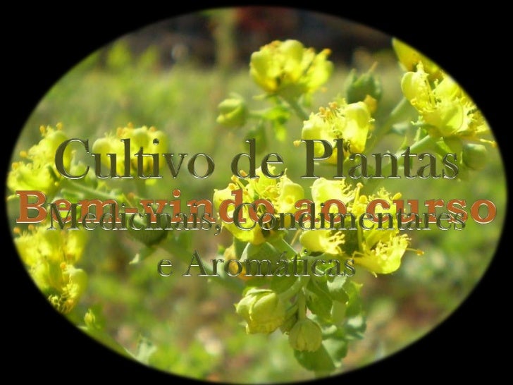 X                                                                                                                 Informaç...