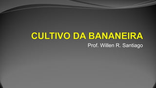 Prof. Willen R. Santiago
 