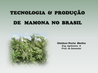 Gleidson Rocha Martins
Eng. Agrônomo &
Prod. de Sementes

 