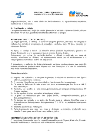 ASSUNTO: CULTIVO DE COGUMELO
DATA DE ATUALIZAÇÃO: 31/08/2006
43
perpendicularmente, uma a uma, ainda em local sombreado. As regas devem ser suspensas,
mantendo-se o piso úmido.
8) Frutificação e colheita
Os cogumelos começam a surgir em três ou quatro dias. Concluída a primeira colheita, as toras
descansam por um mês, quando novamente são submetidas ao choque.
SHIMEJI (PLEUROTUS OSTREATUS)
De origem japonesa, o shimeji é cultivado em potes plásticos, crescendo na serragem de
pinheiro. Seu período de crescimento, da semeadura à colheita, dura 30 dias, passando por
oito etapas distintas.
No Japão, o shimeji é nativo. Os primeiros brotos aparecem na primavera, quando o sol
derrete lentamente a neve das regiões frias do centro e do norte do país.
Antigamente, em regime de produção familiar, o shimeji era cultivado em toras de
madeira, semelhante ao shiitake, em processo muito lento e caro. O melhoramento e a
seleção genética viabilizou o cultivo em larga escala.
A semeadura e a colheita são feitas diariamente, de forma contínua, durante todo o ano. Os
maiores cuidados na produção são a higiene total das instalações e o uso de maquinário,
para evitar o contato com as mãos.
Etapas de produção
1) Preparo do substrato - a serragem de pinheiro é colocada no misturador com água e
aditivos, para formar o composto.
2) O composto é introduzido nos potes plásticos (resistentes a altas temperaturas).
3) Os potes são fechados e levados a autoclave, onde permanecem por duas horas a 140o
C
para esterilização.
4) Retirados, são levados a uma câmara, por uma noite, até atingirem a temperatura de 24o
C, que é mantida.
5) No dia seguinte, é feita a semeadura pela máquina própria.
6) Os potes são transferidos para um galpão escuro, à temperatura ambiente, por 20
dias, para germinação.
7) As tampas são retiradas e os potes são levados para a câmara frigorífica, onde o
desenvolvimento do fungo ocorre à temperatura de 7o
a 10° C, no período de uma semana
a 10 dias.
8) São feitas a colheita e a embalagem.
9) Parte do composto que resta nos potes é destinado ao replantio, produzindo novo
inóculo. O resto pode ser utilizado como adubo orgânico.
CHAMPIGNON DINAMARQUÊS (PLEUROTUS SSP)
O champignon dinamarquês, também conhecido como Cogumelo Gigante, Caetetuba, Hiratake,
Shiratake ou Pleurotus, é considerado mais saboroso que o comum.
 