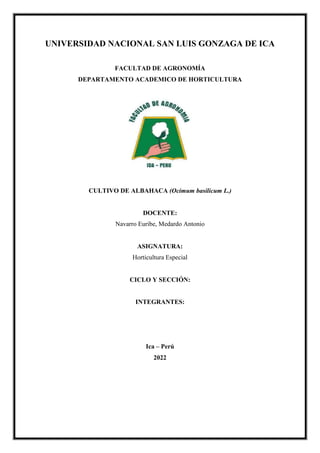 UNIVERSIDAD NACIONAL SAN LUIS GONZAGA DE ICA
FACULTAD DE AGRONOMÍA
DEPARTAMENTO ACADEMICO DE HORTICULTURA
CULTIVO DE ALBAHACA (Ocimum basilicum L.)
DOCENTE:
Navarro Euribe, Medardo Antonio
ASIGNATURA:
Horticultura Especial
CICLO Y SECCIÓN:
INTEGRANTES:
Ica – Perú
2022
 