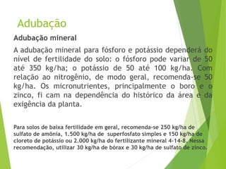 Adubação
Adubação mineral
A adubação mineral para fósforo e potássio dependerá do
nível de fertilidade do solo: o fósforo pode variar de 50
até 350 kg/ha; o potássio de 50 até 100 kg/ha. Com
relação ao nitrogênio, de modo geral, recomenda-se 50
kg/ha. Os micronutrientes, principalmente o boro e o
zinco, fi cam na dependência do histórico da área e da
exigência da planta.
Para solos de baixa fertilidade em geral, recomenda-se 250 kg/ha de
sulfato de amônia, 1.500 kg/ha de superfosfato simples e 150 kg/ha de
cloreto de potássio ou 2.000 kg/ha do fertilizante mineral 4-14-8. Nessa
recomendação, utilizar 30 kg/ha de bórax e 30 kg/ha de sulfato de zinco.
 