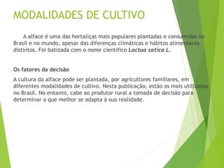 MODALIDADES DE CULTIVO
A alface é uma das hortaliças mais populares plantadas e consumidas no
Brasil e no mundo, apesar das diferenças climáticas e hábitos alimentares
distintos. Foi batizada com o nome científico Lactua satica L.
Os fatores da decisão
A cultura da alface pode ser plantada, por agricultores familiares, em
diferentes modalidades de cultivo. Nesta publicação, estão as mais utilizadas
no Brasil. No entanto, cabe ao produtor rural a tomada de decisão para
determinar a que melhor se adapta à sua realidade.
 