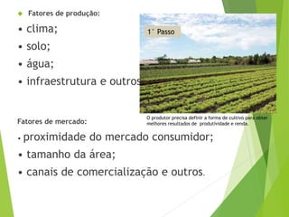  Fatores de produção:
• clima;
• solo;
• água;
• infraestrutura e outros.
Fatores de mercado:
• proximidade do mercado consumidor;
• tamanho da área;
• canais de comercialização e outros.
O produtor precisa definir a forma de cultivo para obter
melhores resultados de produtividade e renda.
1° Passo
 