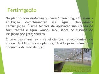 Fertirrigação
No plantio com mulching ou túnel/ mulching, utiliza-se a
adubação complementar via água, denominada
Fertirrigação. É uma técnica de aplicação simultânea de
fertilizantes e água. Ambos são usados no sistema de
irrigação por gotejamento.
É uma das maneiras mais eficientes e econômicas de
aplicar fertilizantes às plantas, devido principalmente à
economia de mão de obra.
 