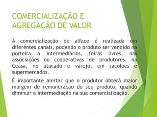 COMERCIALIZAÇÃO E
AGREGAÇÃO DE VALOR
A comercialização de alface é realizada em
diferentes canais, podendo o produto ser vendido na
porteira a intermediários, feiras livres, nas
associações ou cooperativas de produtores, na
Ceasa, no atacado e varejo, em sacolões e
supermercados.
É importante alertar que o produtor obterá maior
margem de remuneração do seu produto, quando
diminuir a intermediação na sua comercialização.
 
