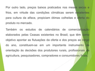 Por outro lado, preços baixos praticados nos meses secos e
frios, em virtude das condições climáticas serem excelentes
para cultura da alface, propiciam ótimas colheitas e oferta do
produto no mercado.
Também os estudos de calendários de comercialização
elaborados pelas Ceasas existentes no Brasil, que têm como
objetivo apontar as flutuações da oferta e dos preços ao longo
do ano, constituem-se em um importante instrumento de
orientação às decisões dos produtores rurais, profissionais da
agricultura, pesquisadores, compradores e consumidores finais.
 