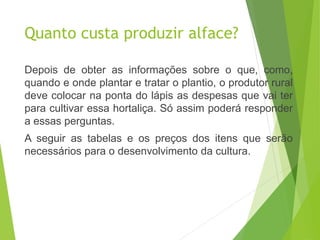 Quanto custa produzir alface?
Depois de obter as informações sobre o que, como,
quando e onde plantar e tratar o plantio, o produtor rural
deve colocar na ponta do lápis as despesas que vai ter
para cultivar essa hortaliça. Só assim poderá responder
a essas perguntas.
A seguir as tabelas e os preços dos itens que serão
necessários para o desenvolvimento da cultura.
 